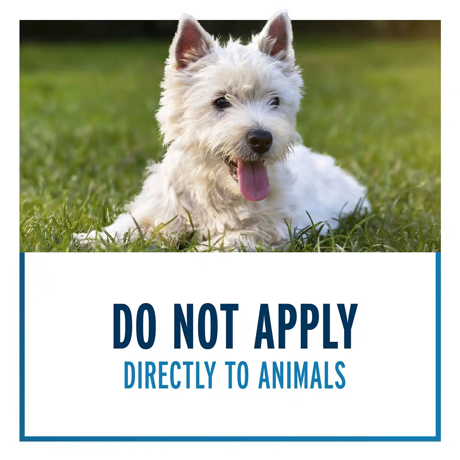 Do not apply