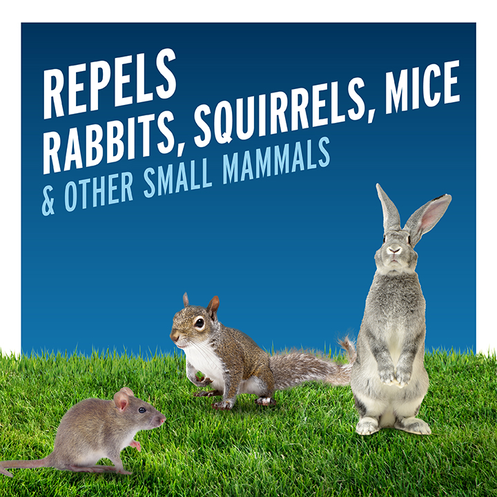 Repels Rabbits, Squirrels, Mice, and Other Small Mammals