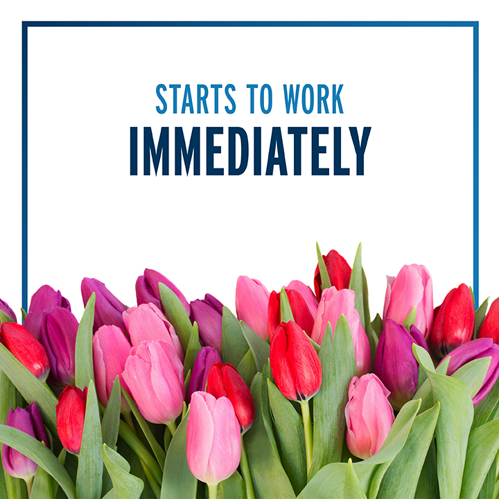 Starts to Work Immediately