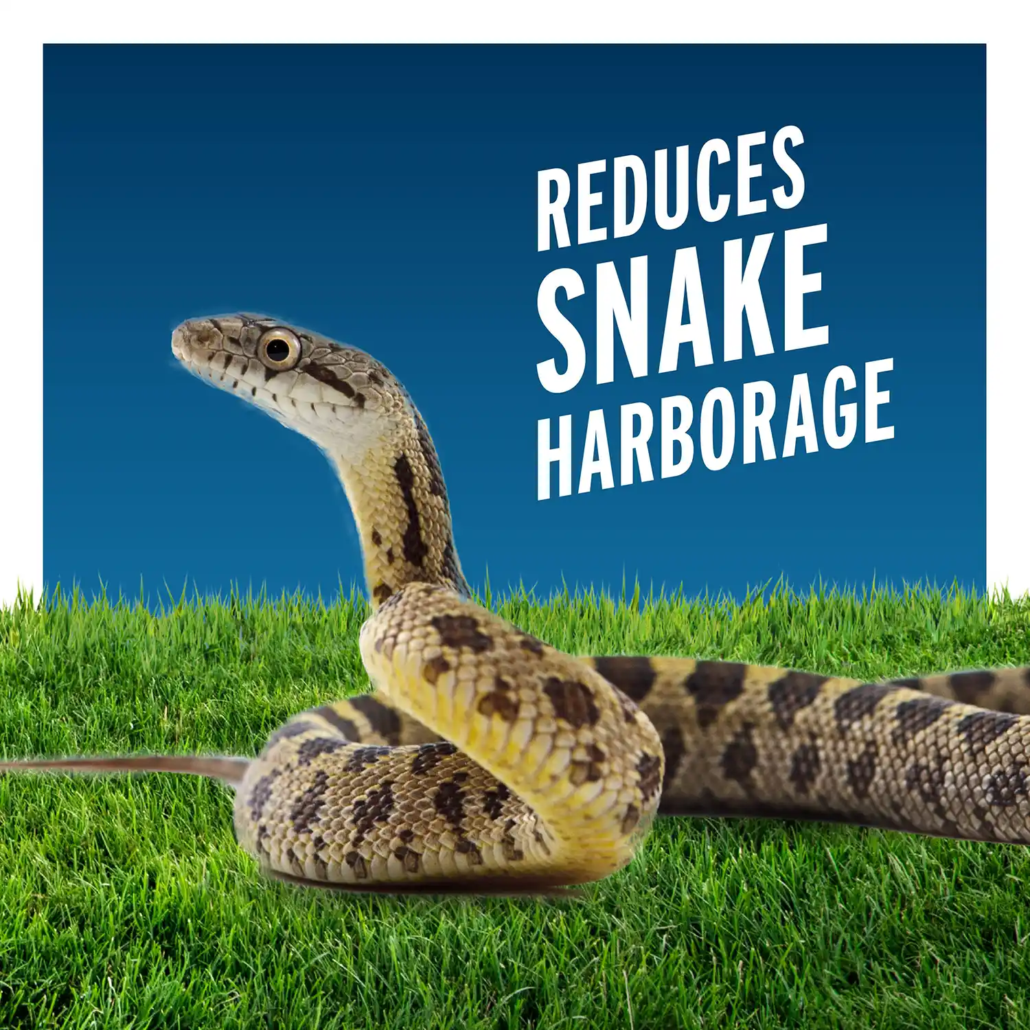 Reduces Snake Harborage