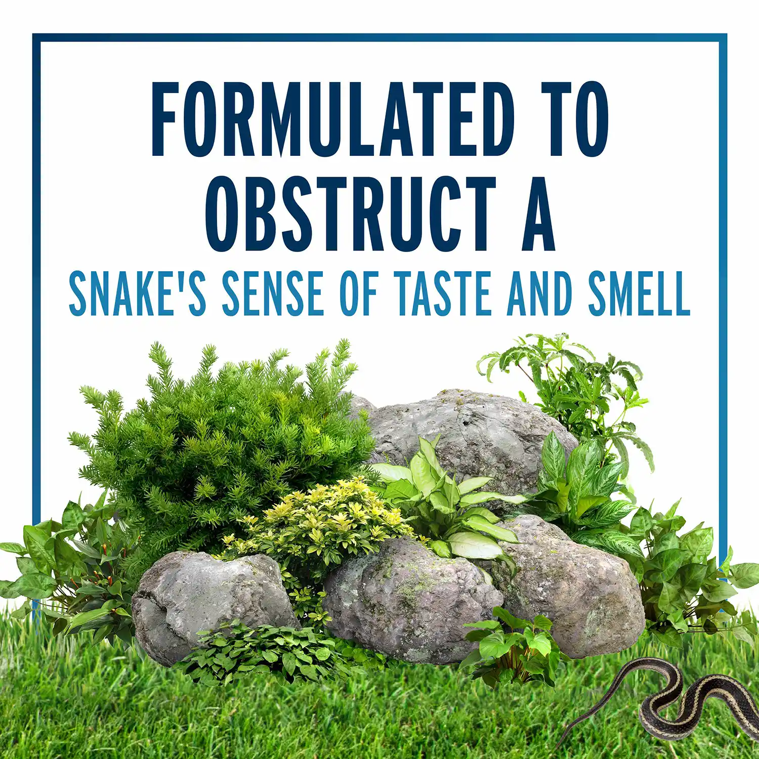 Formulated To Obstruct A Snake's Sense of Taste and Smell