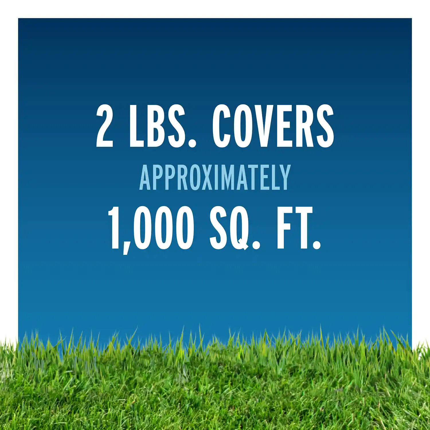 2 lbs Covers Approximately 1,000 sq ft