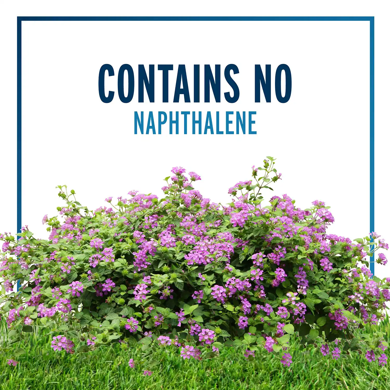 Contains No Naphthalene