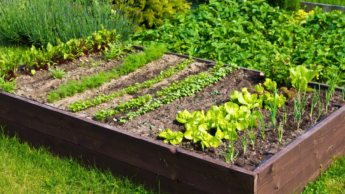 Small Garden Background Image