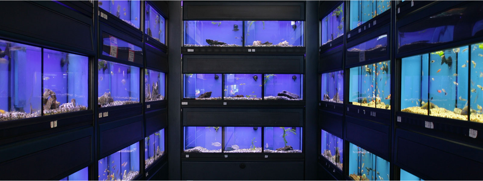 Commercial Systems Banner