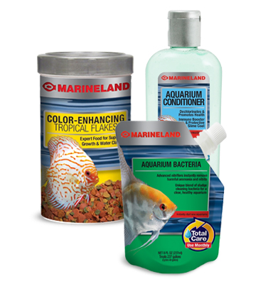Nutrition and Water Care