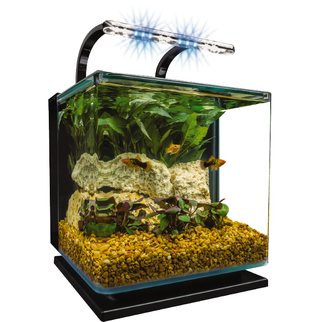 ML90610 Marineland Contour 3 Gallon Desktop Kit Tank Front Wet