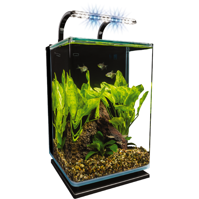 ML90611 Marineland Contour 5 Gallon Desktop Kit Tank Front Wet