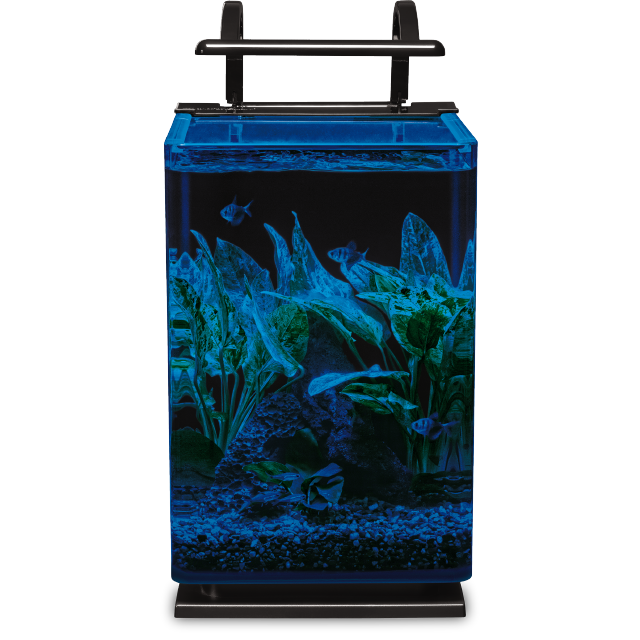 ML90611 Marineland Contour 5 Gallon Desktop Kit Tank Front Wet Night