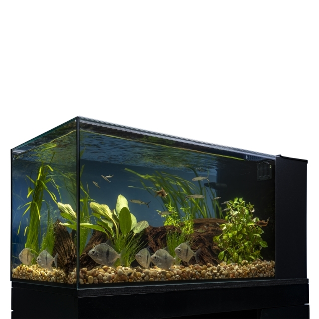 AQ78169 Marineland Exhibit Series Wi-Fi LED Kit 25 Gallon Aquarium Front