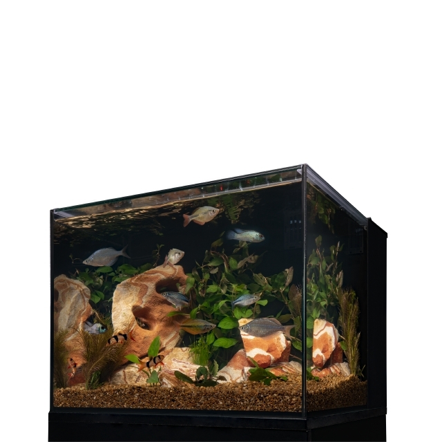 Marineland Exhibit Series Wi-Fi LED Kit 29 Gallon