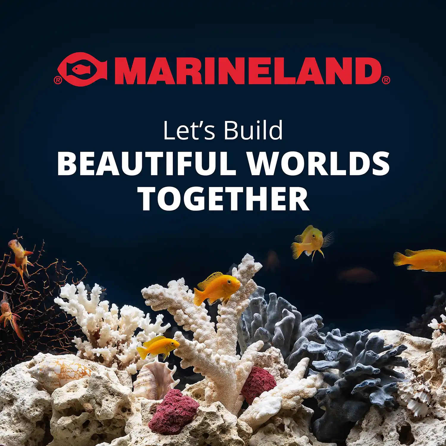 Let's Build BEAUTIFUL WORLDS TOGETHER