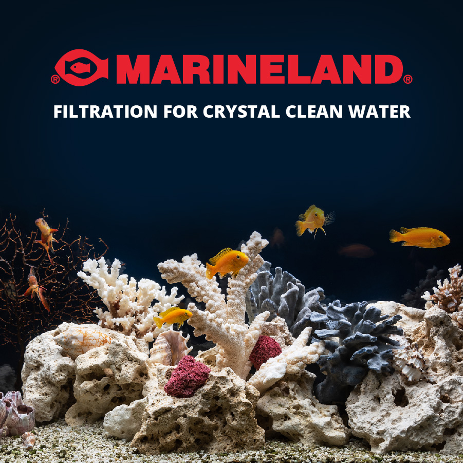 AQ-78399 Marineland Micron Filter Brand Statement
