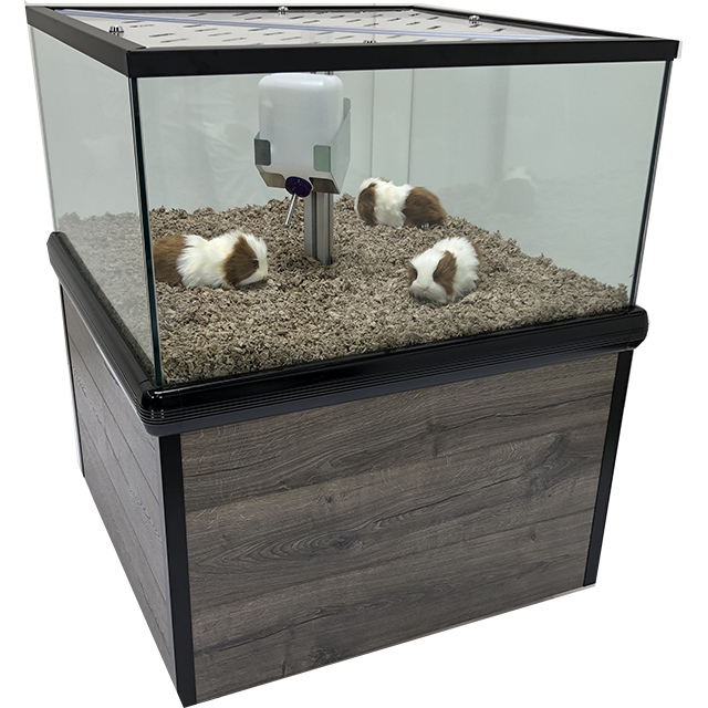 Marineland Commercial Small Animal Petter with Guinea Pigs