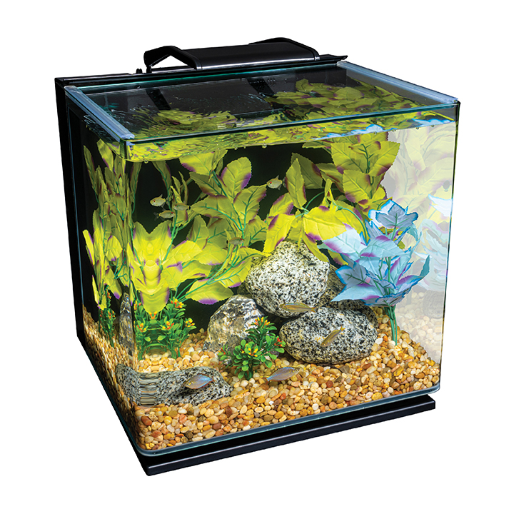 10 Gallon Glass Aquarium Kit