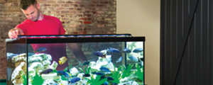 Marineland Innovation