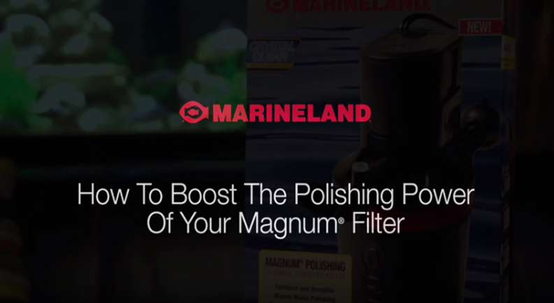 How to Boost the Polishing Power of Your Magnum Filter