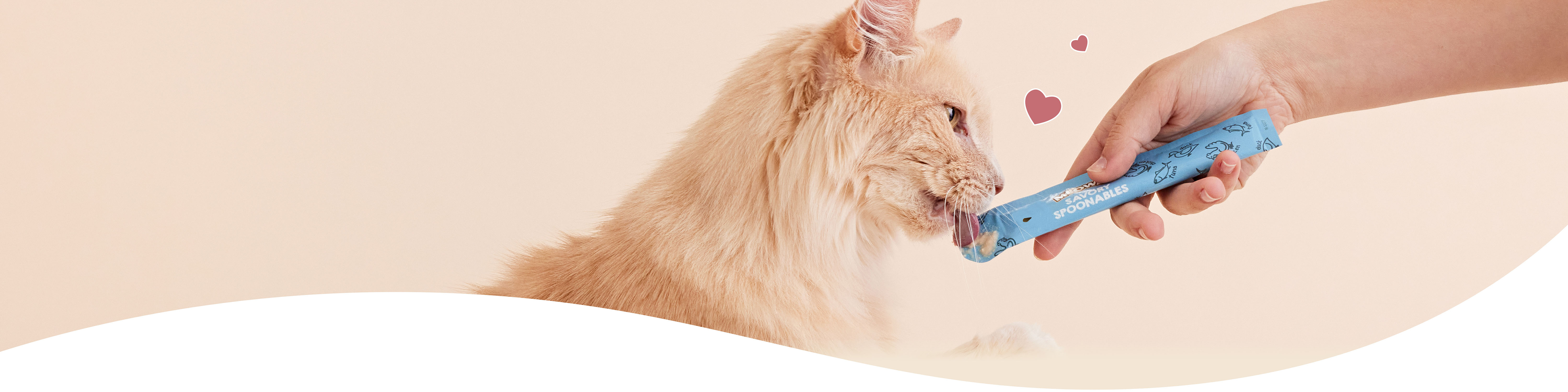 Cat licking a Meowee spoonables treat