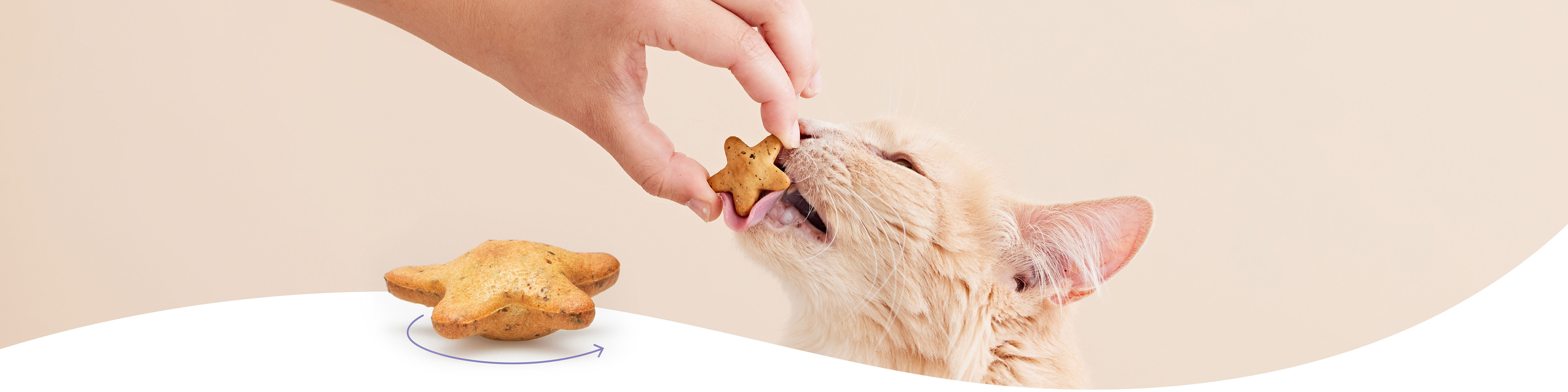 Cat licking a Meowee starry spinner