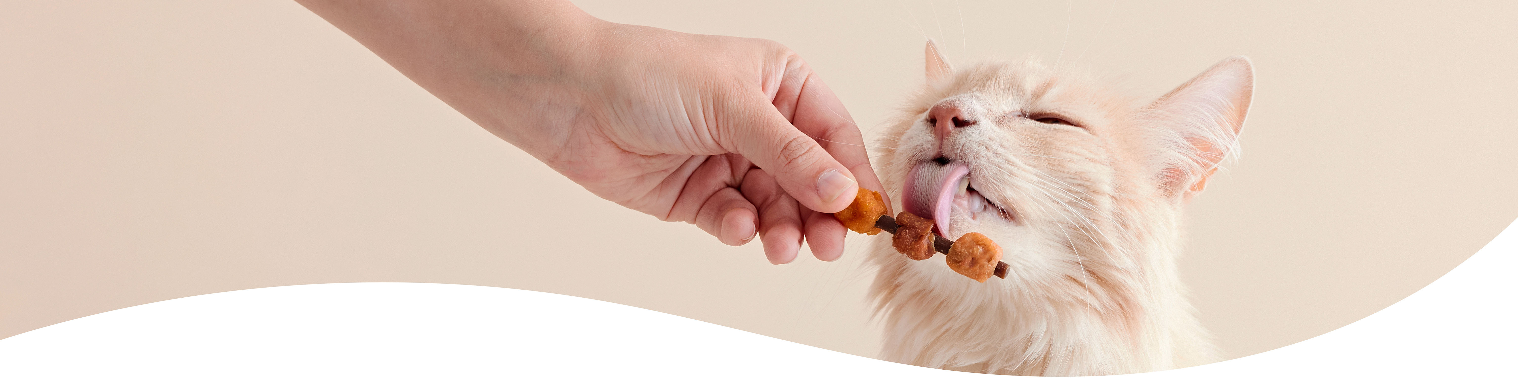 Cat licking a Meowee kabob treat