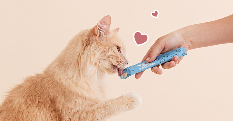 Cat eating a Meowee Spoonable