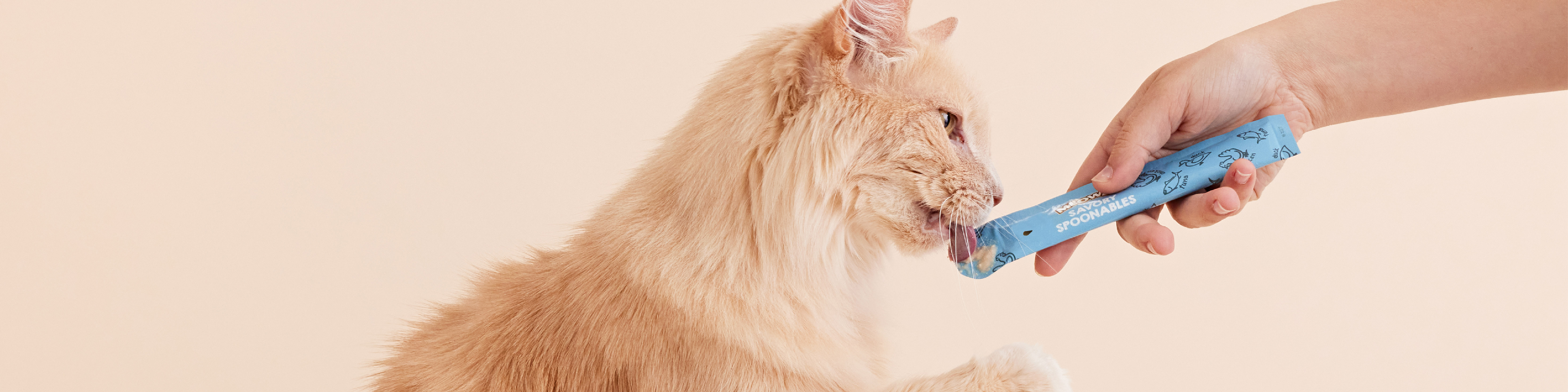 woman feeding cat a meowee spoonable