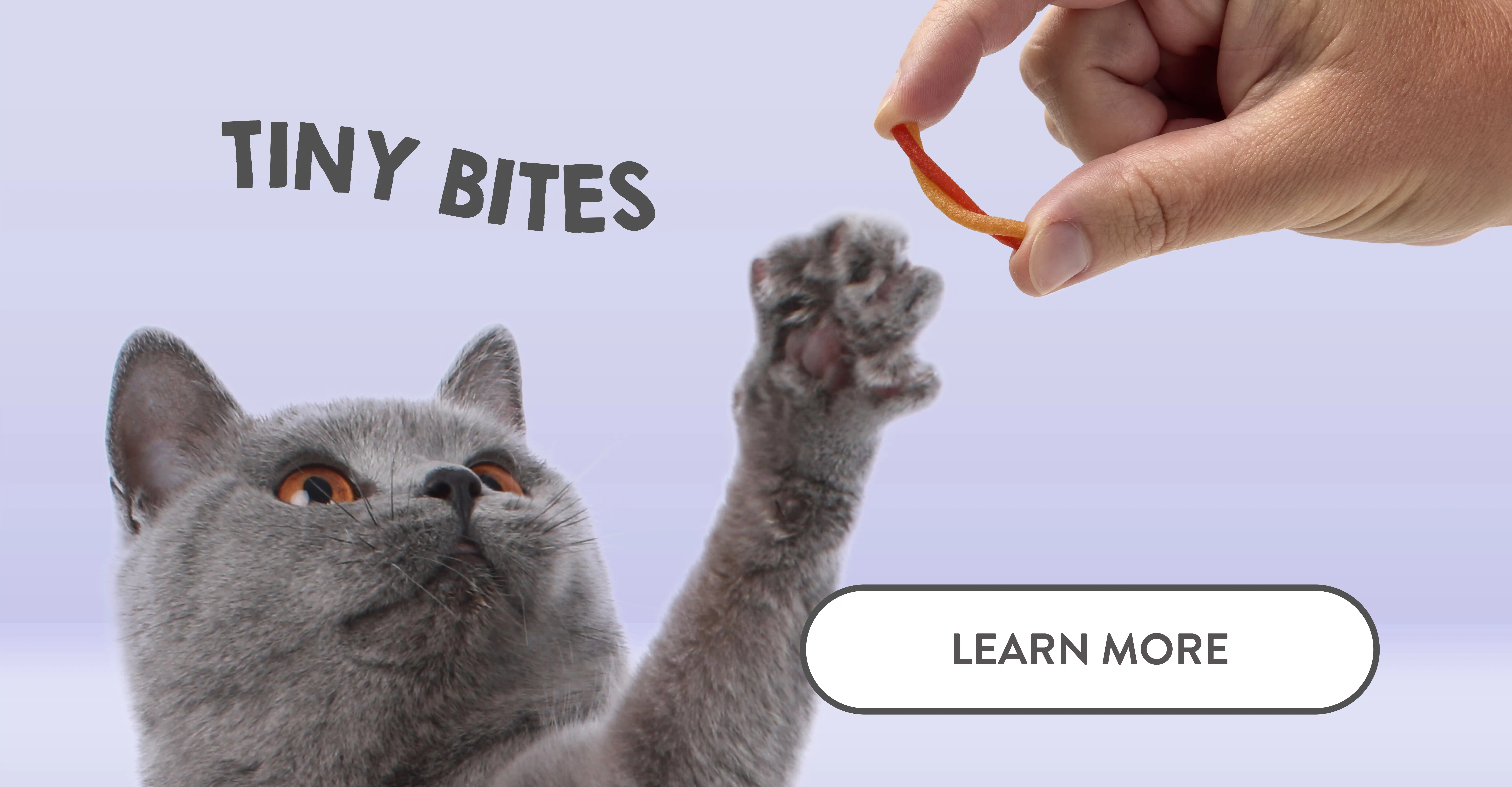 Tiny Bites Meowee Treats