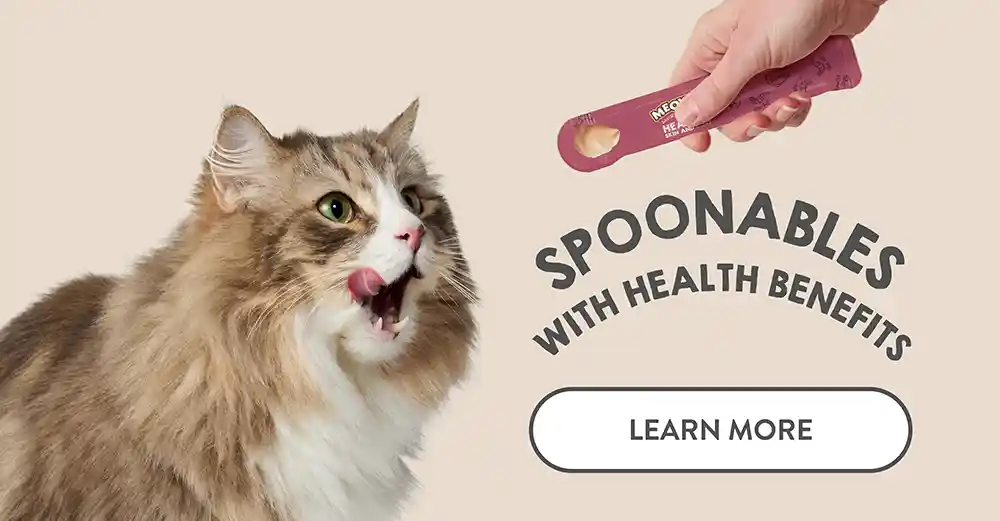 Spoonables with Health Benefits