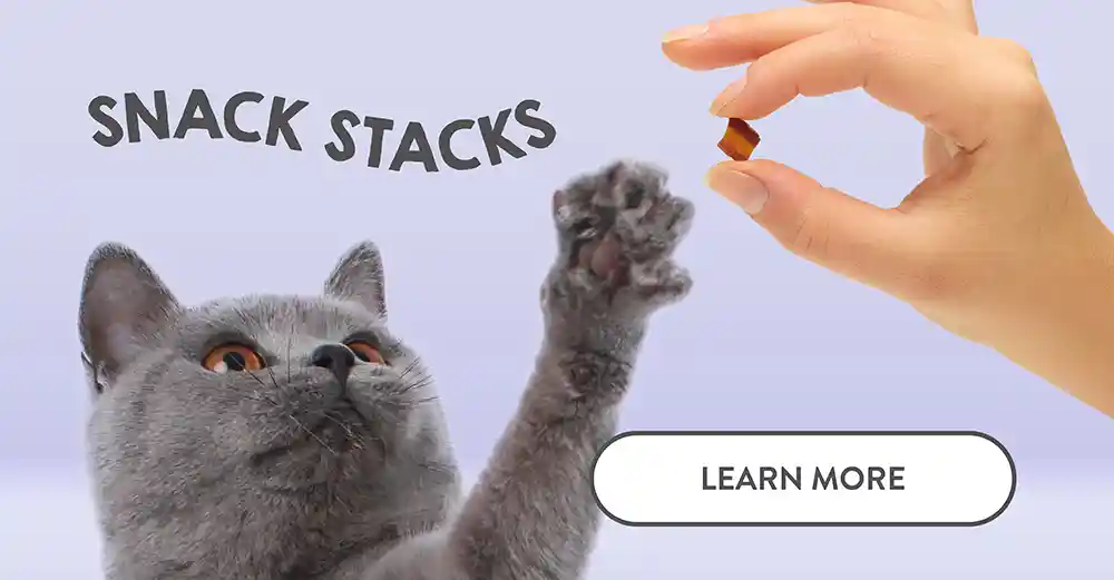 Snack Stacks