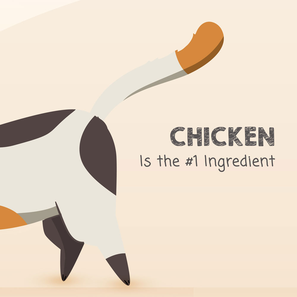Chicken is the number 1 ingredient