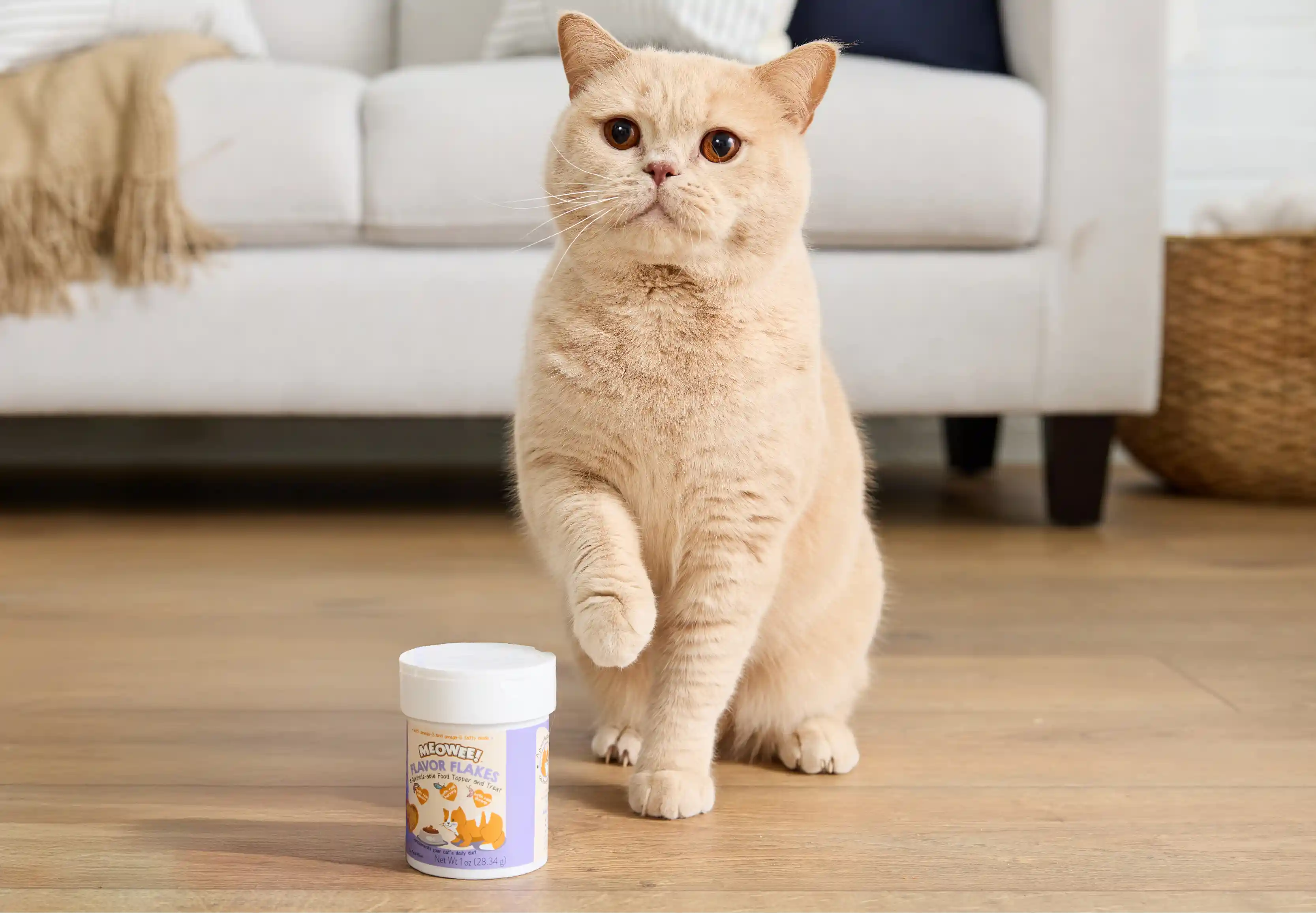 Cat sitting in living room, sitting next to Meowee cat topper flakes
