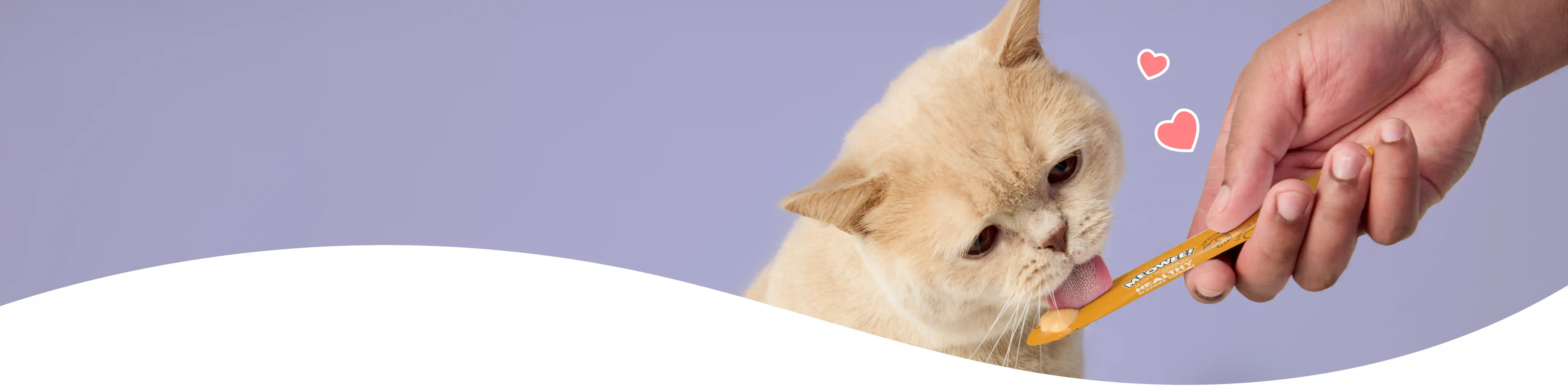 Orange cat licking a savory spoonable treat