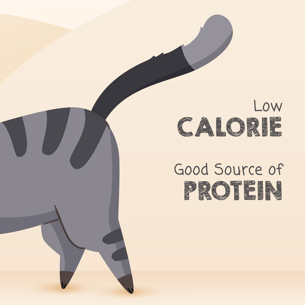 Low calorie, good source of protein