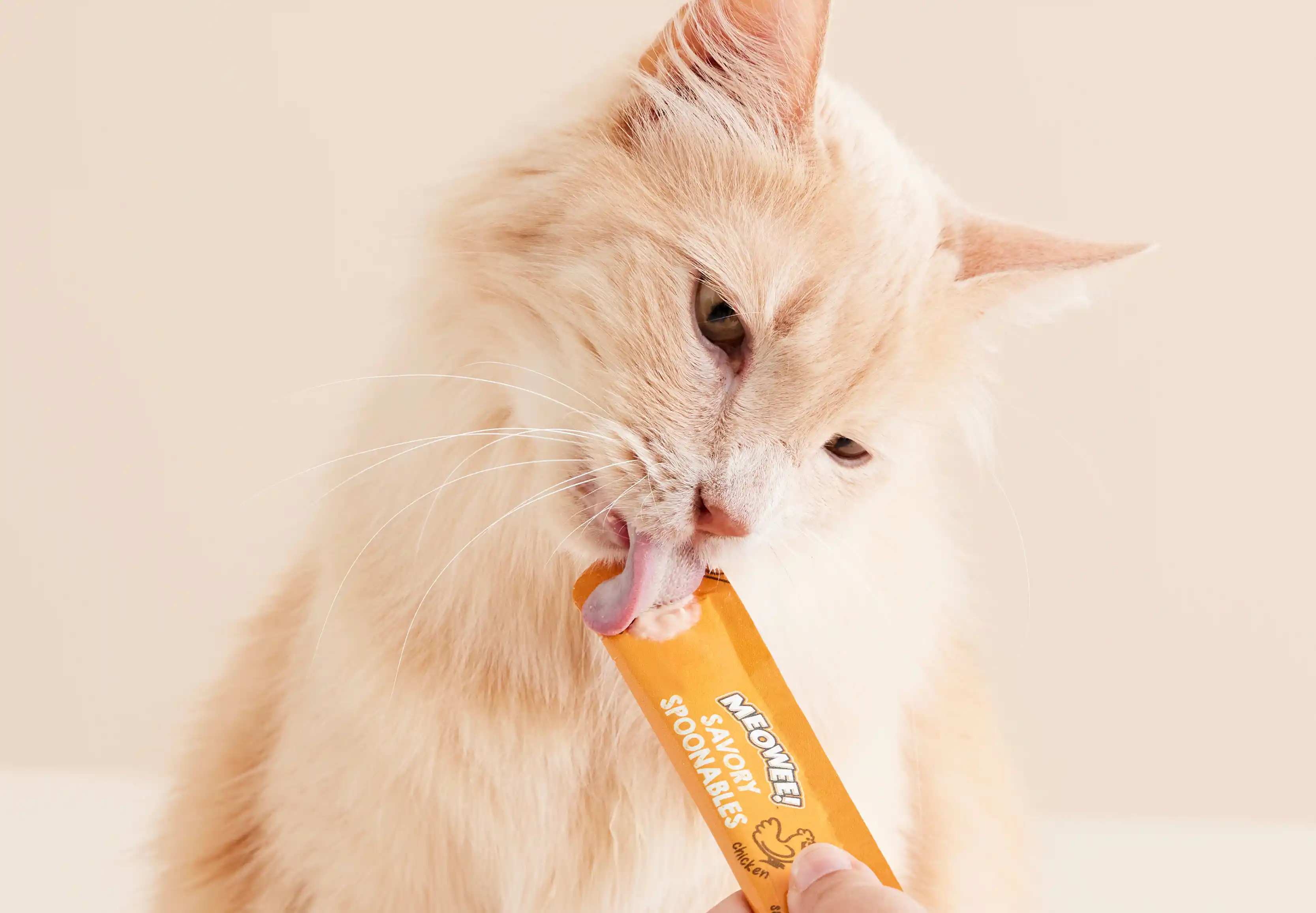 Orange cat licking a meowee spoonables