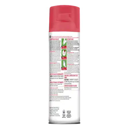 Foaming Aerosol Back