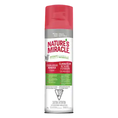 Foaming Aerosol Front