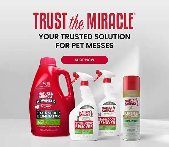 Trust the Miracle - your solution for pet messes