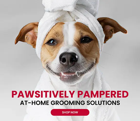 Pawsitively Pampered Grooming Solutions