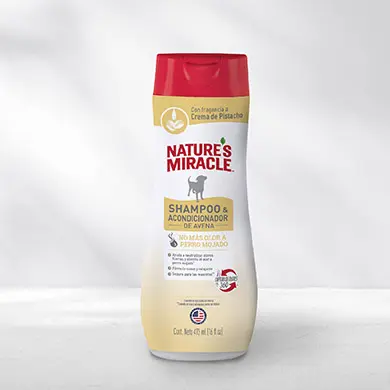 Shampoo
