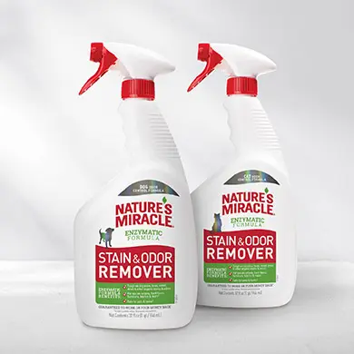 Stain and Odor Remover