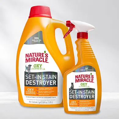 Set in Stain and Odor