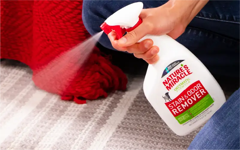 Stain & Odor Remover