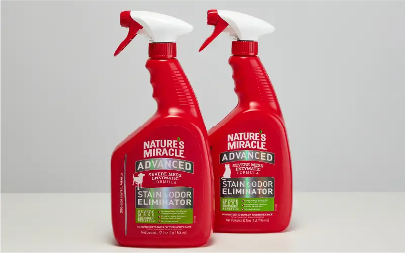 Advanced Stain & Odor Eliminator