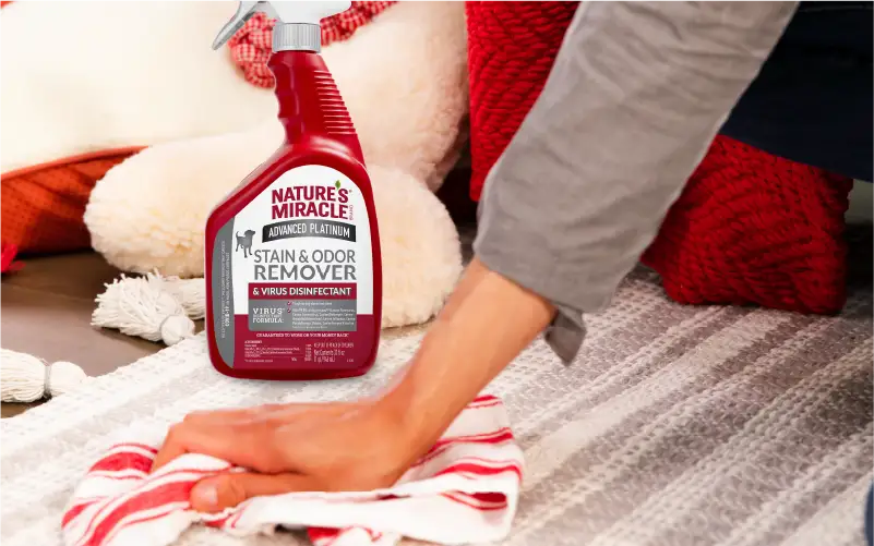 Advanced Platinum Stain & Odor Remover