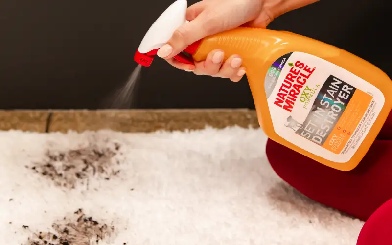 Set-In Stain Destroyer