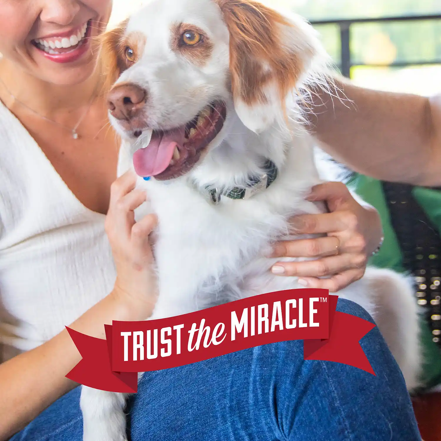 Trust the Miracle