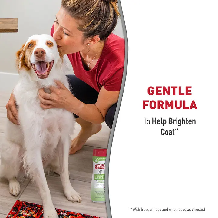 Whitening Shampoo and Conditioner Blooming Almond Formula