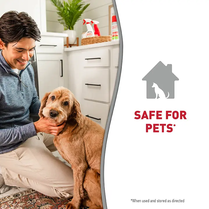 Odor Control Shampoo and Conditioner Hydrating Honey Safe for Pets