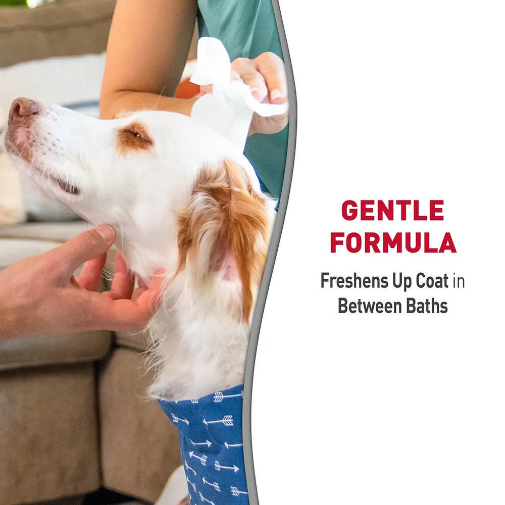 Bath Wipes Sunkissed Gentle Formula