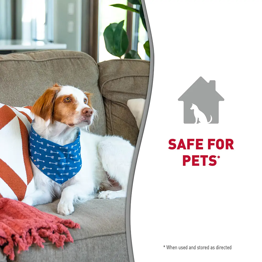 Safe for use on Pets and home